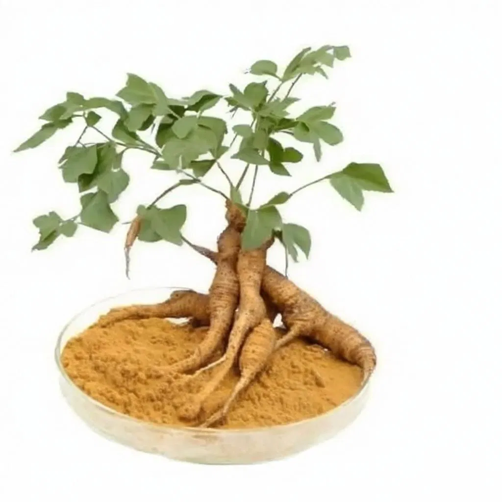 Pueraria Mirifica Extract