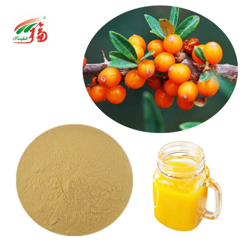 Plant Extract Seabuckthorn Oil Extract for Reduce Cholesterol