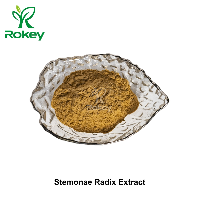 Premium Respiratory Support &amp; Traditional Herbal Powder Radix Stemonae Extract