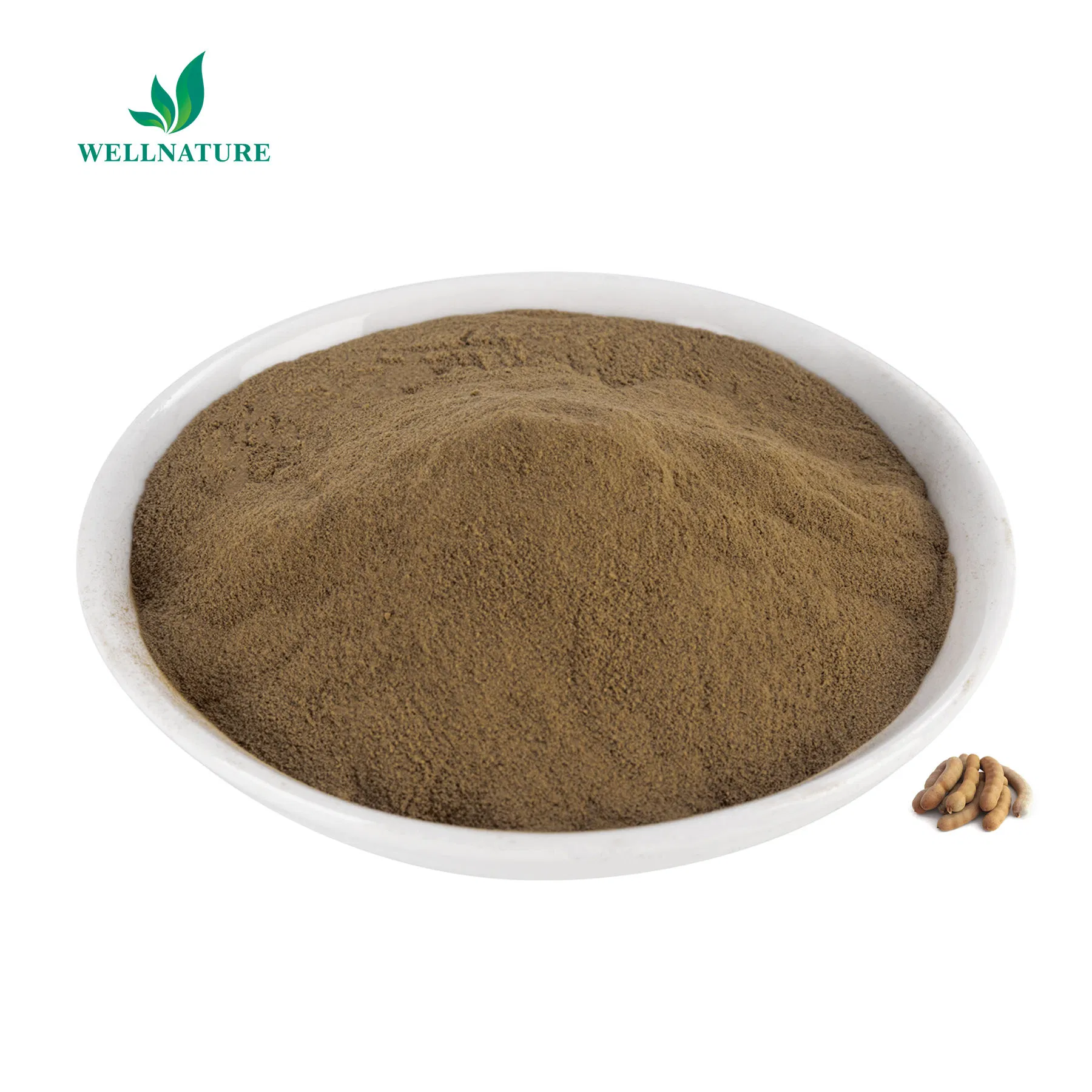 Natural Herbal Extract Raw Material Tamarind Seed Powder Dried Tamarind Extract