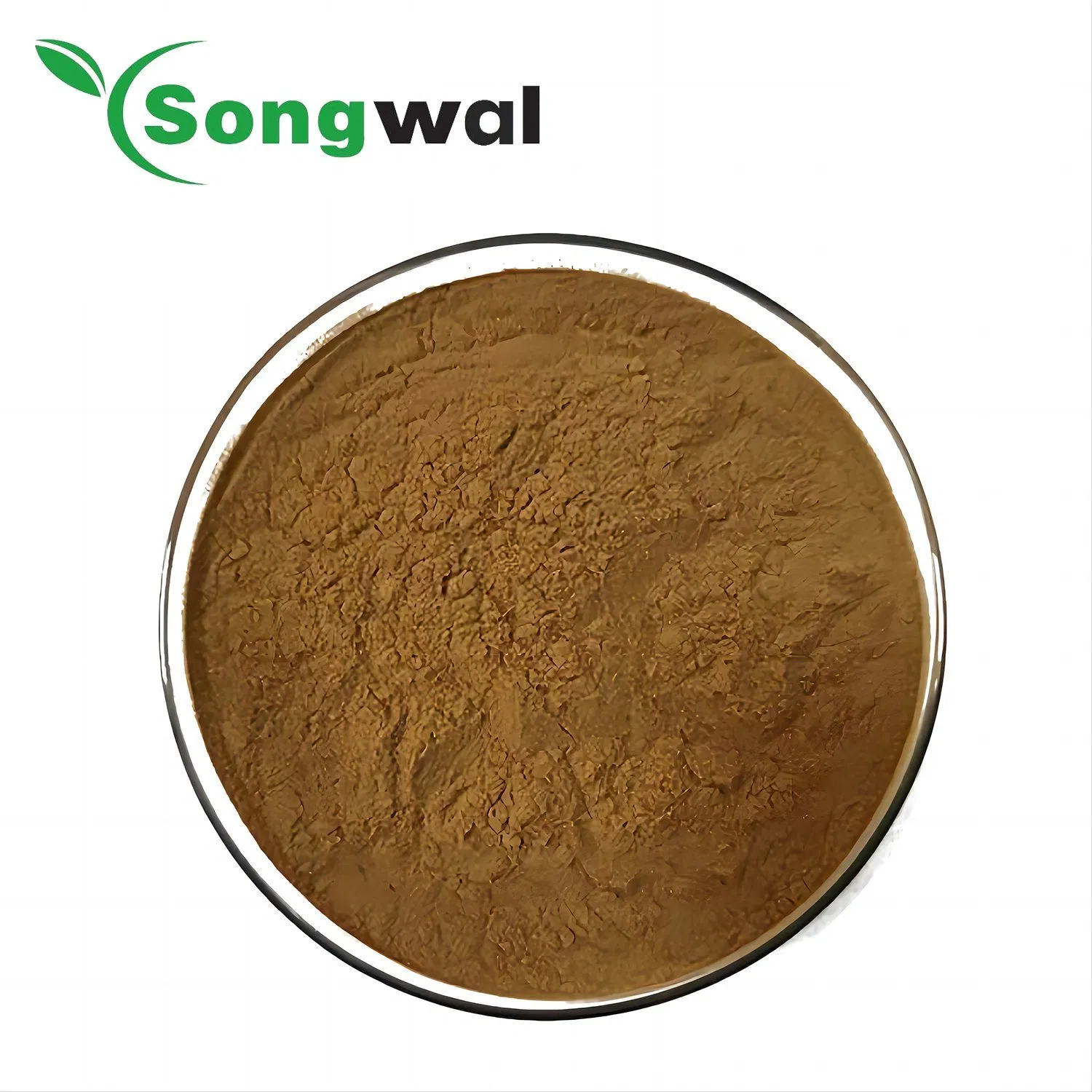 Factory Price Water Soluble Cough Syrup 100% IVY Leaf Herbal Plant Extract