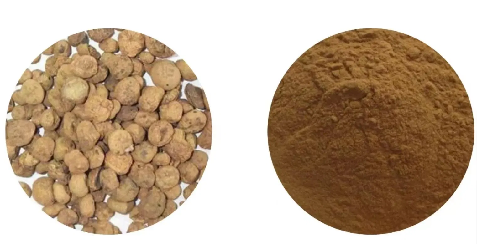Fusso Extract Powder with 4: 1 10: 1 Husso Plant Health Care High Quality 100% Organic Fusso Plant Extract Powder