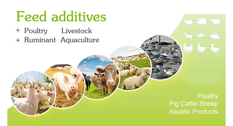 Feed Additives Vitamin Premix