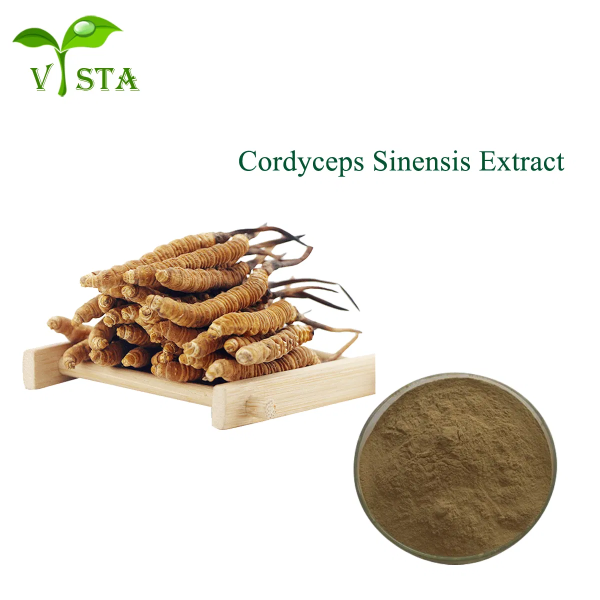 Traditional Chinese Medecine Cordyceps Extract Cordyceptic Acid Cordyceps Sinensis Polysaccharide