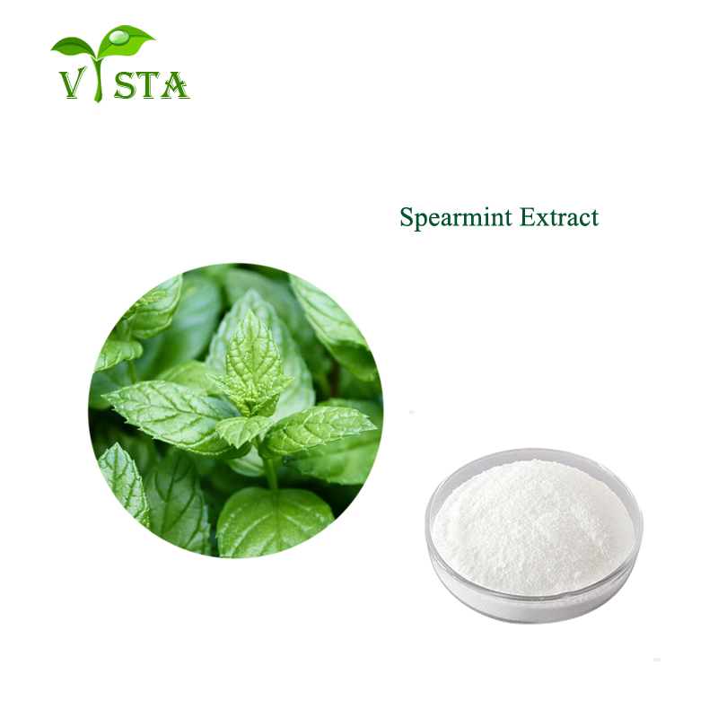 Factory Supply Plant Extract Water Soluble Mint Flavor Powder Natural Spearmint Extract Peppermint Extract