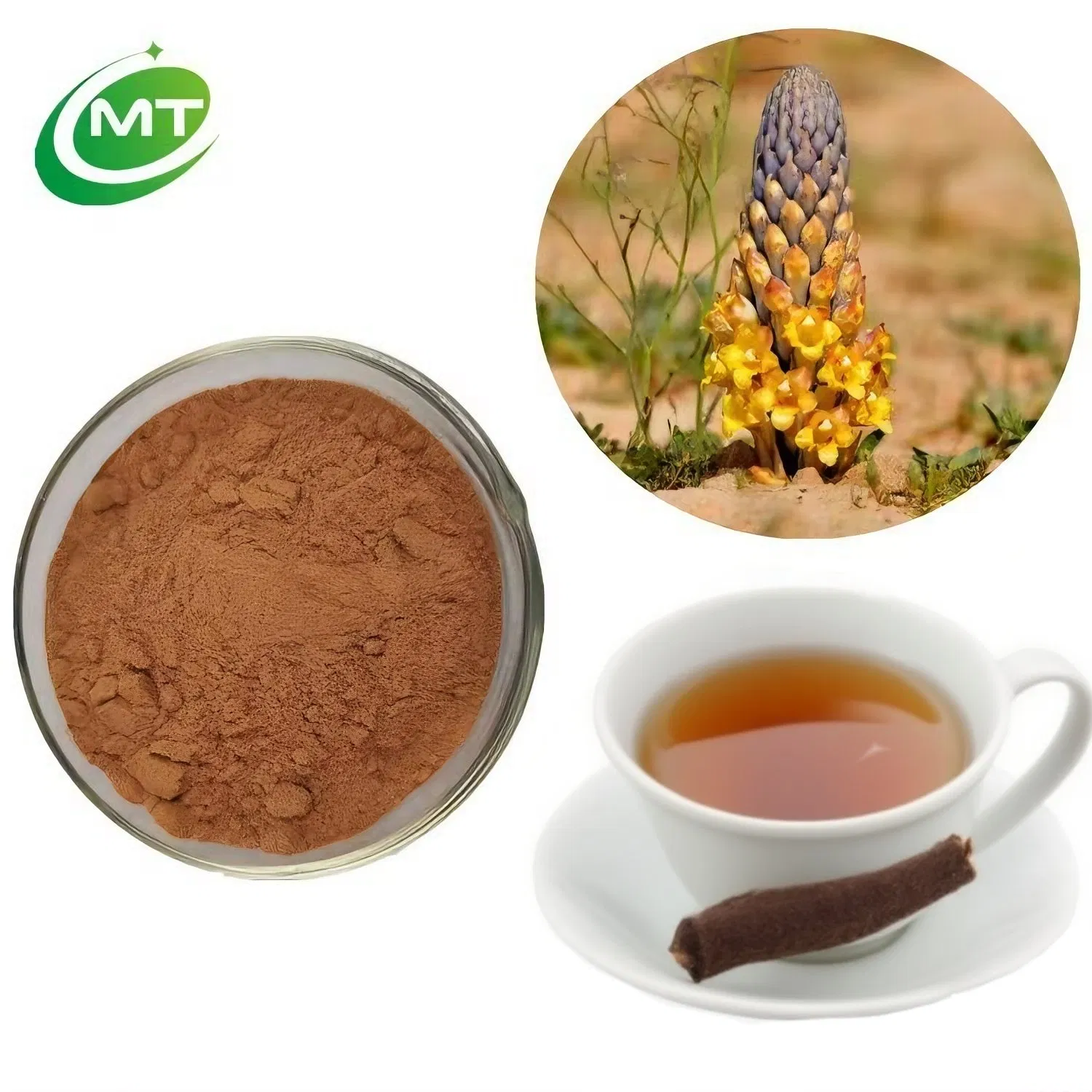 Organic Traditional Chinese Herb Renewal Support Bulk Cistanche Extract