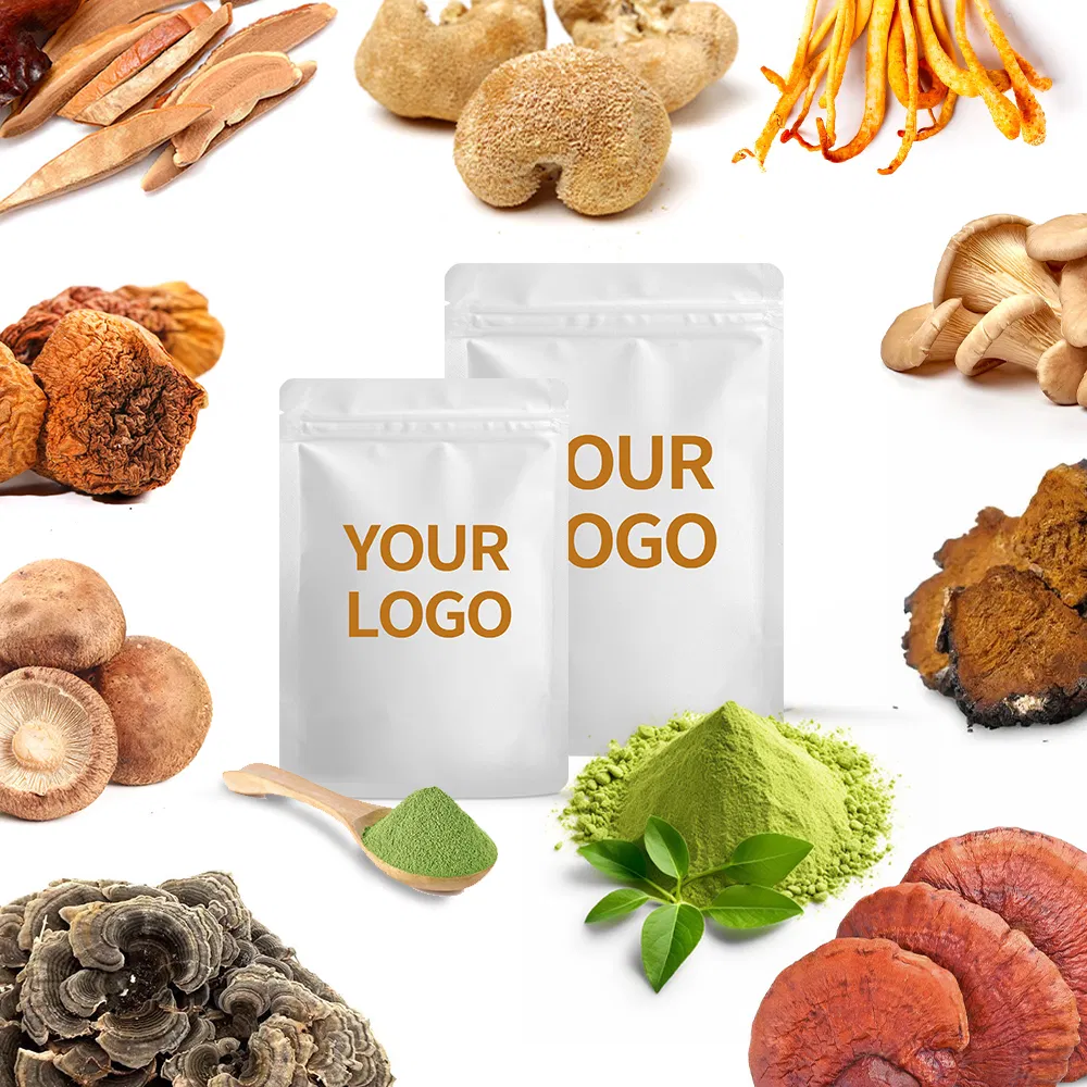 Mushroom Extract Powder 3