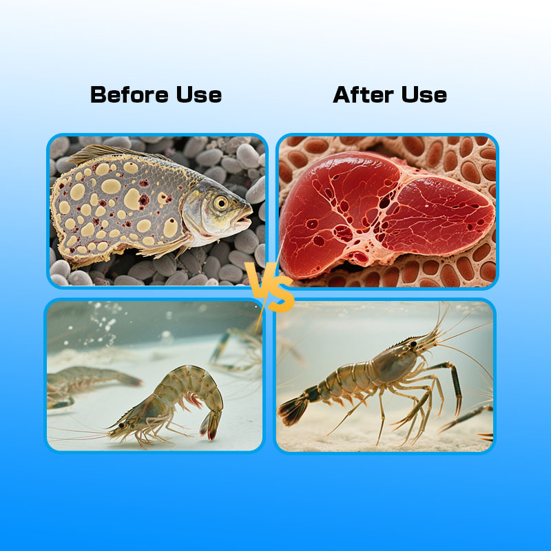 Aquatic Stress-Sooth: Appetite Boost &amp; Vitamin Feed Additive &amp; Aquatic Nutritional Supplement