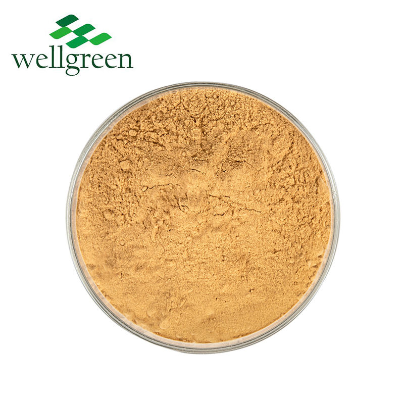Natural Plant Extract Water Soluble Spray Dried Ginger Powder