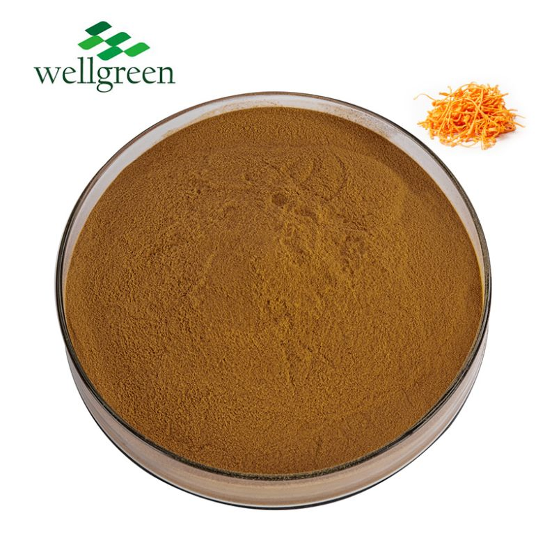Natural Plant Extract Health Additive Herbal Cordyceps Militaris Extract