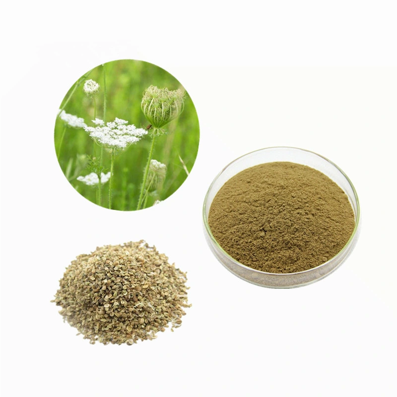 Herbal Medicine 10% Osthole Cnidium Monnieri Extract