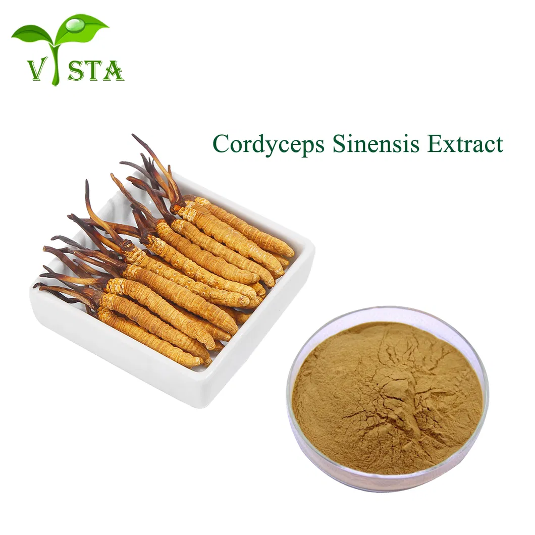 Cordyceps Extract