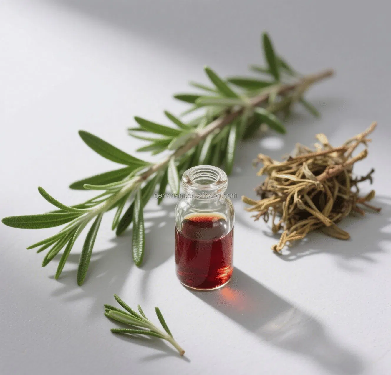 Baking Food Stabilizer Rosemary Extract Rosmarinic Acid Natural Plant Extract Oil