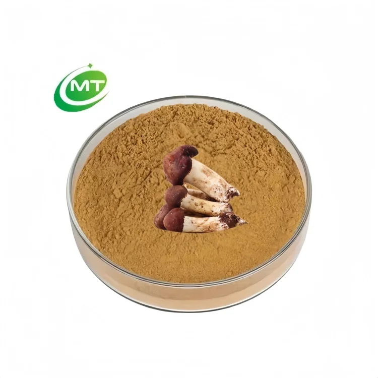 Food Grade Agaricus Blazei Mushroom Extract Water-Soluble Plant Concentrated Extract