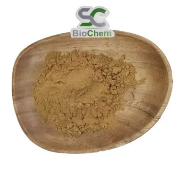 Melilotus Powder
