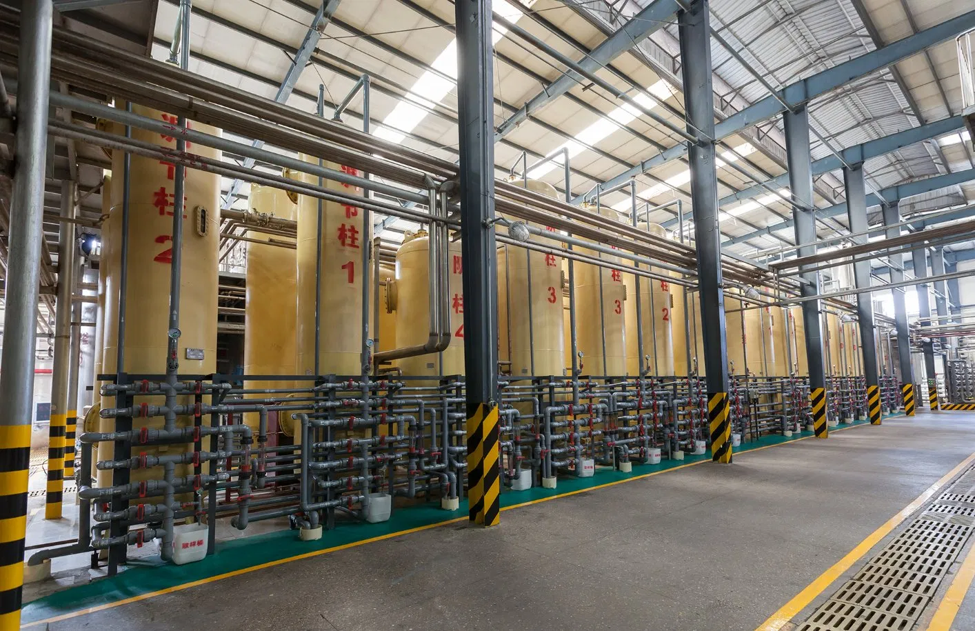 Rare Functional Oligosaccharide Stachyose for Health Food