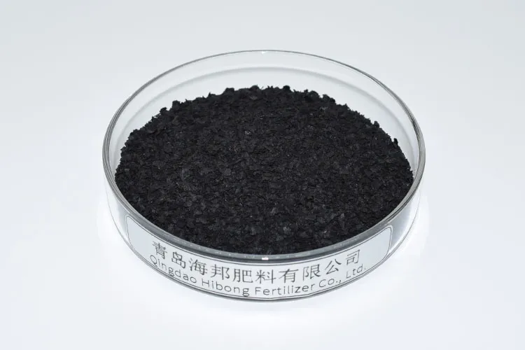 Organic Seaweed Extract Flakes