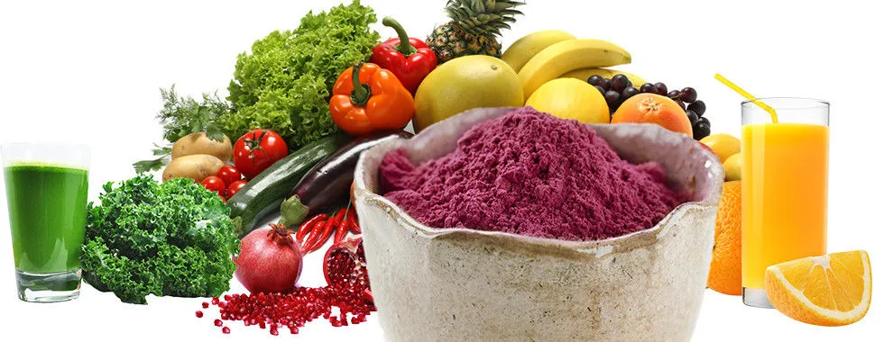 Matcha Green Tea Powder Banner