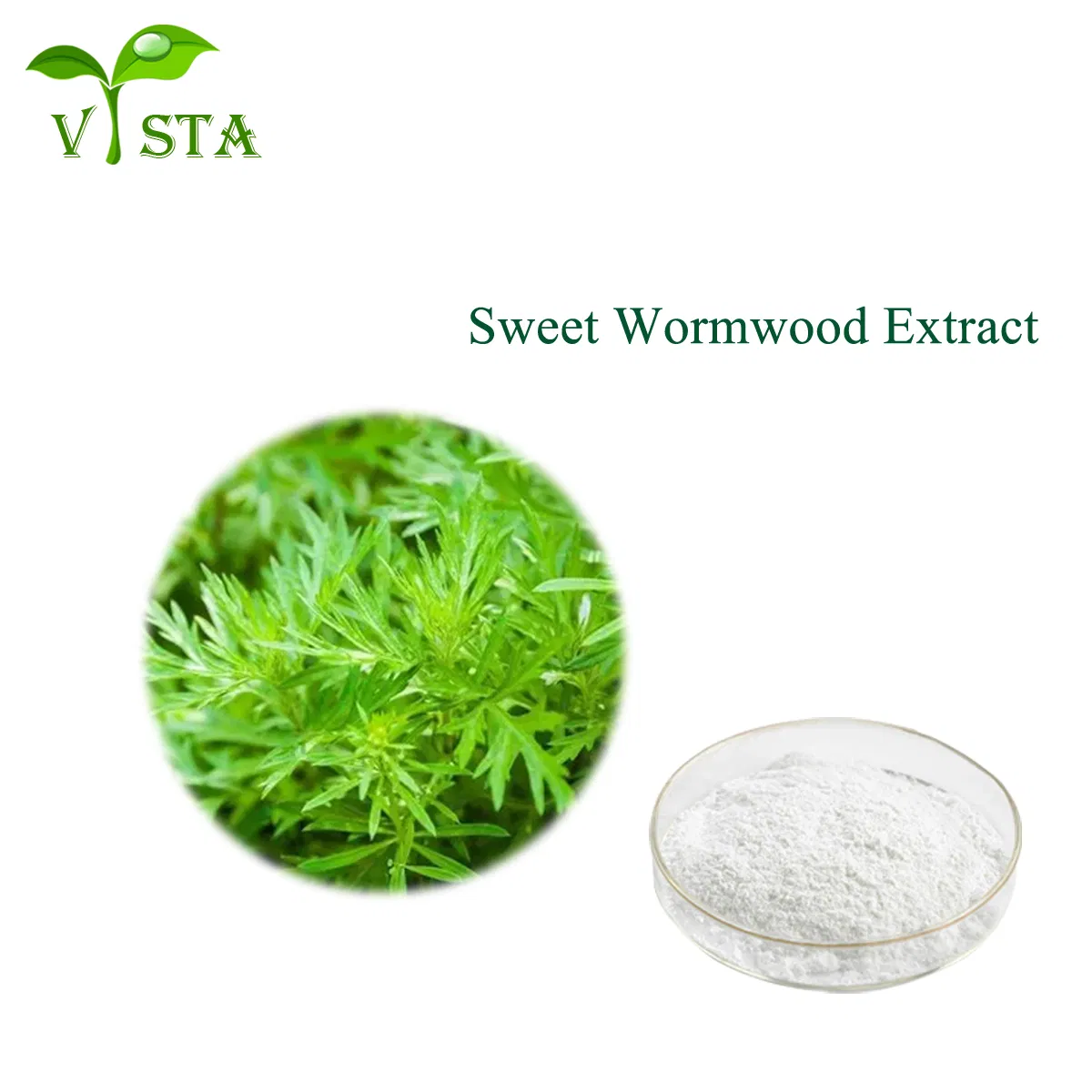 100% Natural Plant Extract Water Soluble Artemisinin Powder Sweet Wormwood Extract