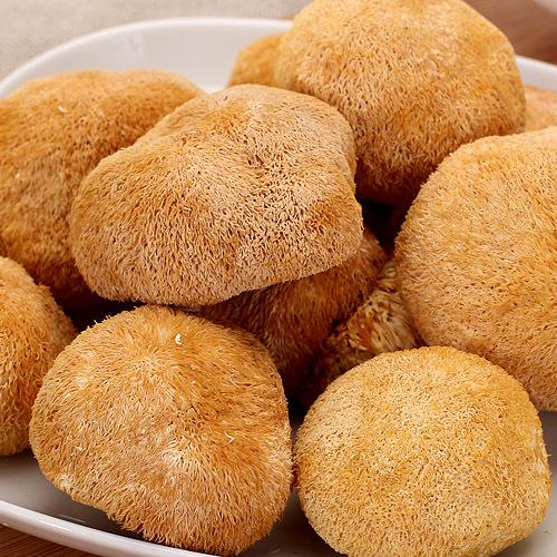 Hericium Erinaceus Lions Mane Mushroom Extract Powder 30% Beta D Glucan, Water Soluble From China Supplier