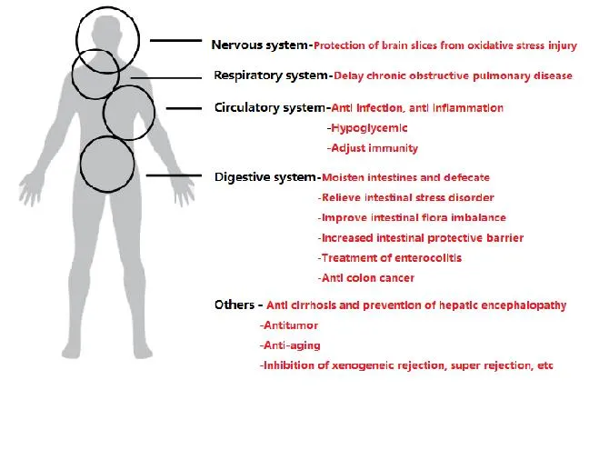 Physiological Characteristics Map