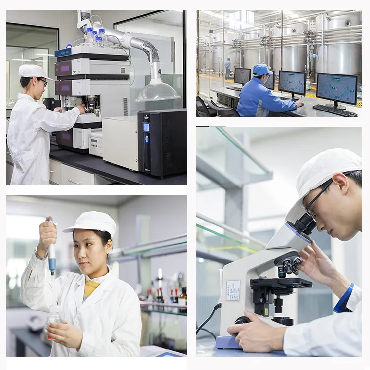 Application Gallery 2