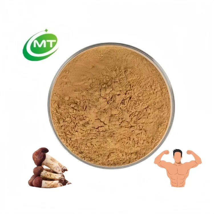 Food Grade Agaricus Blazei Mushroom Extract Water-Soluble Plant Concentrated Extract