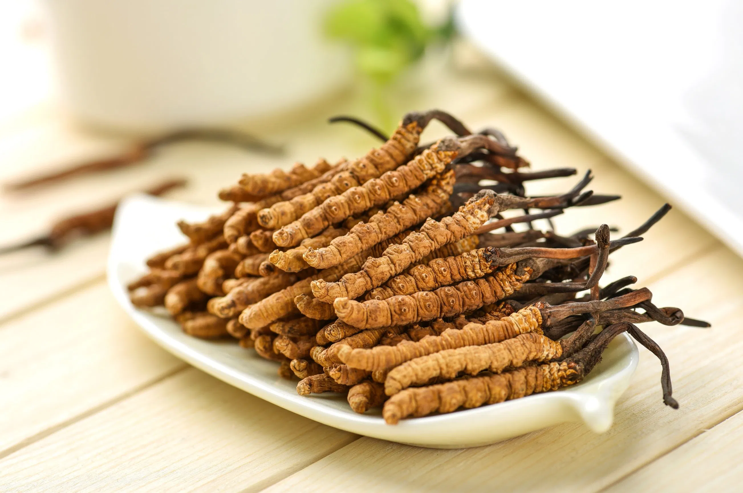 Plant Extract Chinese Cordyceps Mushroom Powder Organic Improve Immune System
