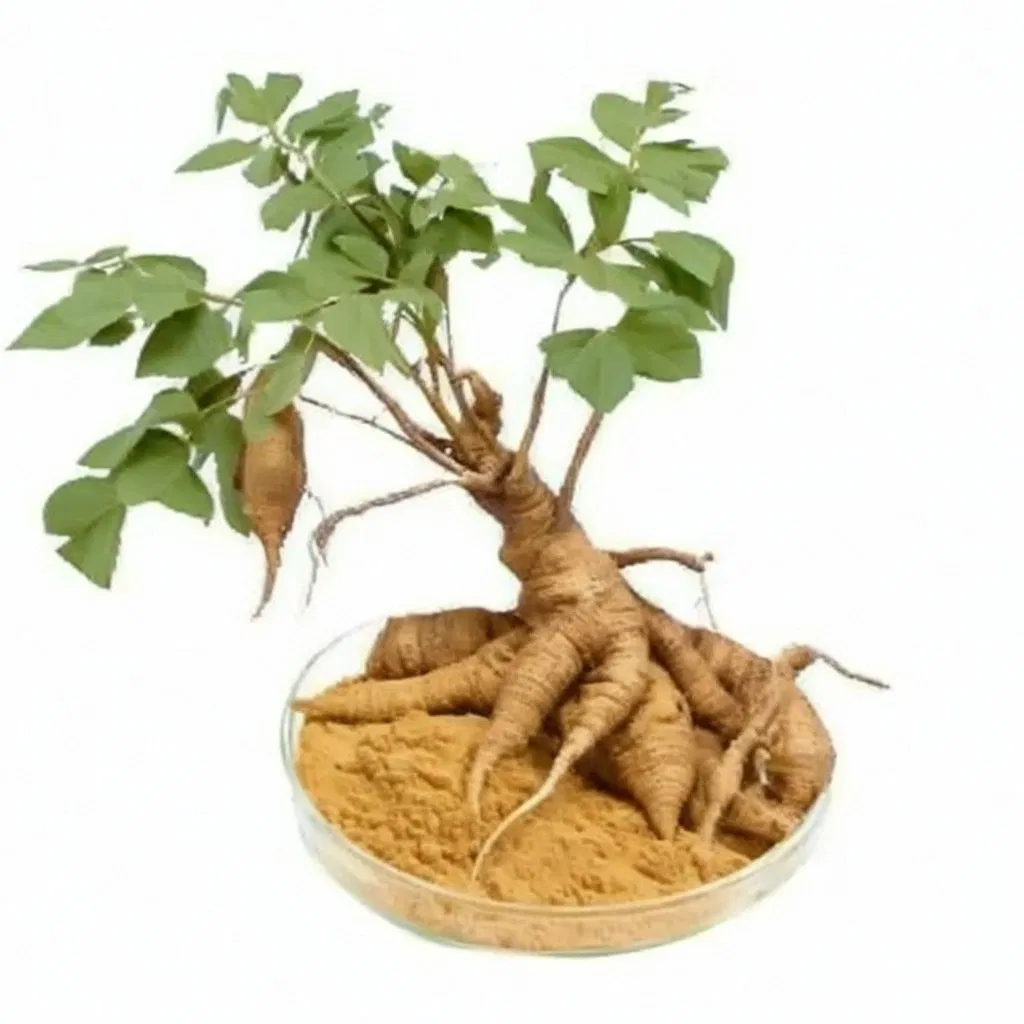 Pueraria Mirifica Extract Powder 1 Kg High Quality Pueraria Mirifica Extract 40% Flavonoids Pueraria Mirifica Extract Chinese Herbal Extract