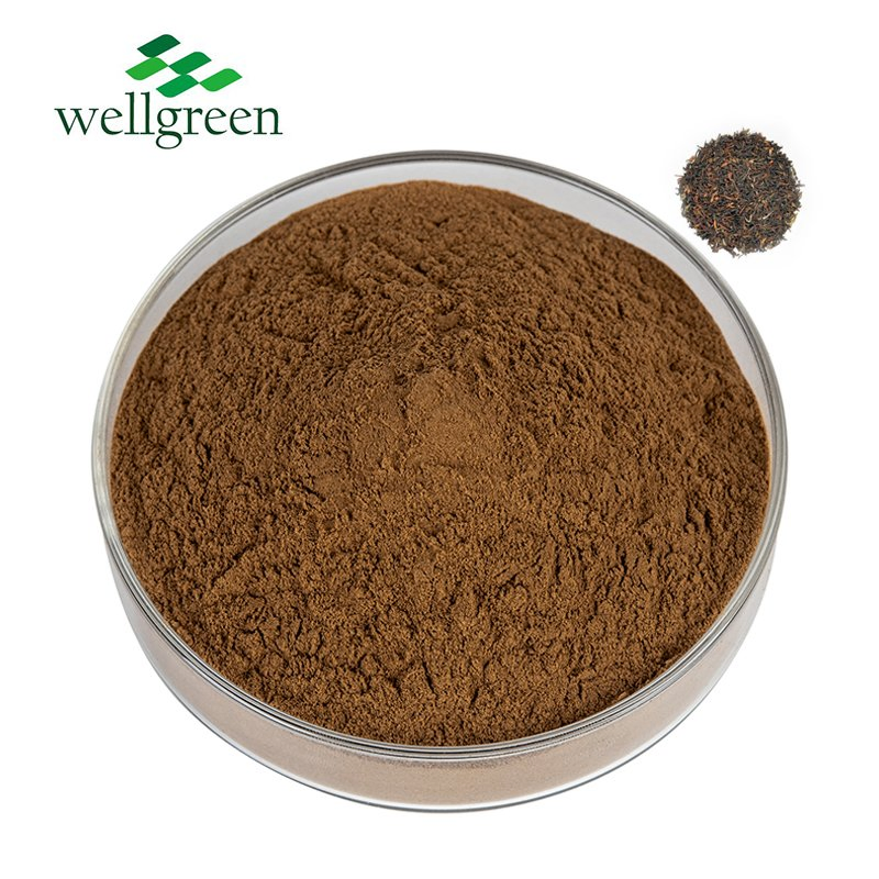 100% Pure Natural Water Soluble Organic Instant Black Tea Extract Powder
