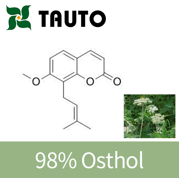 ISO Certified Cnidium Extract 98% Osthole 484-12-8 Natural Ingredient Intermediate
