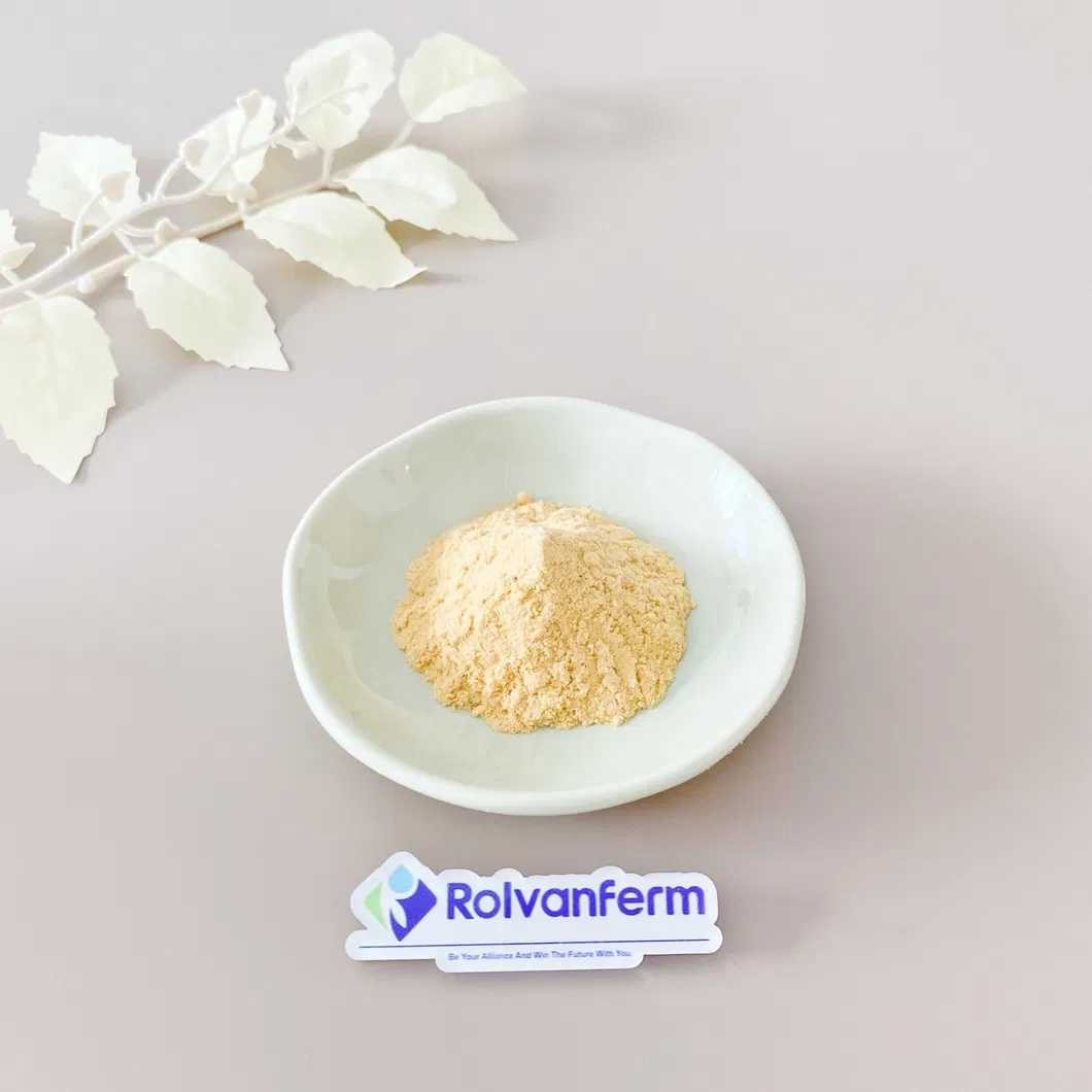 Curcumin Introduction