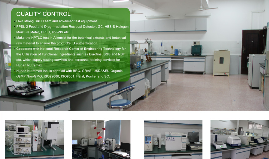 Free Samples 50% Polysaccharides Powder From Mushroom Hericium Erinaceus Extract