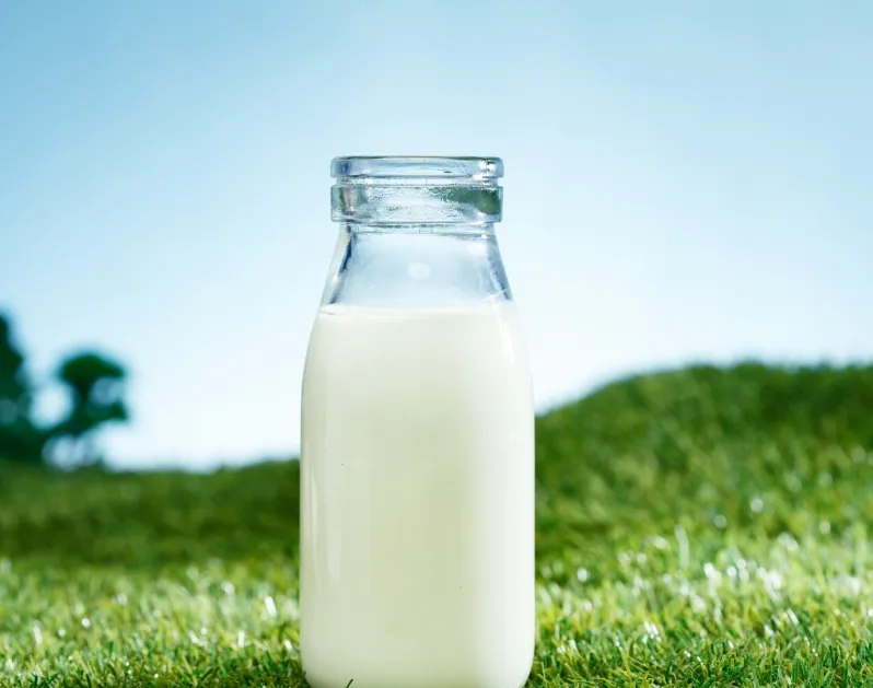 Soybean Protein Isolate 3