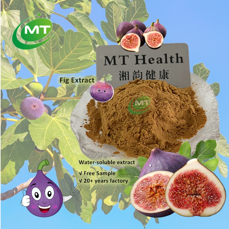 20+ Years Plant Extract Factory Supply Water-Soluble Extract Ficus Carica Fruit Extract Fig Extract