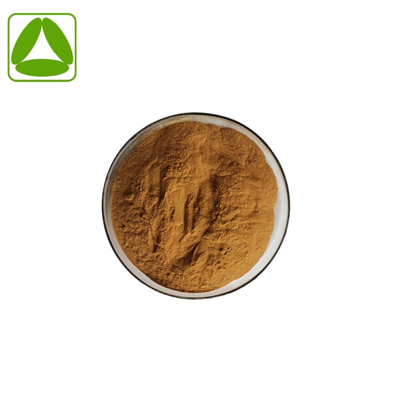Chinese Traditional Herb Isatis Root Powder Isatis Root Extract Powder