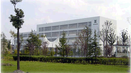 ISO Certified Plant Extract 98% Ginkgolic Acid (C15: 1) 22910-60-7 Natural Ingredient Intermediate