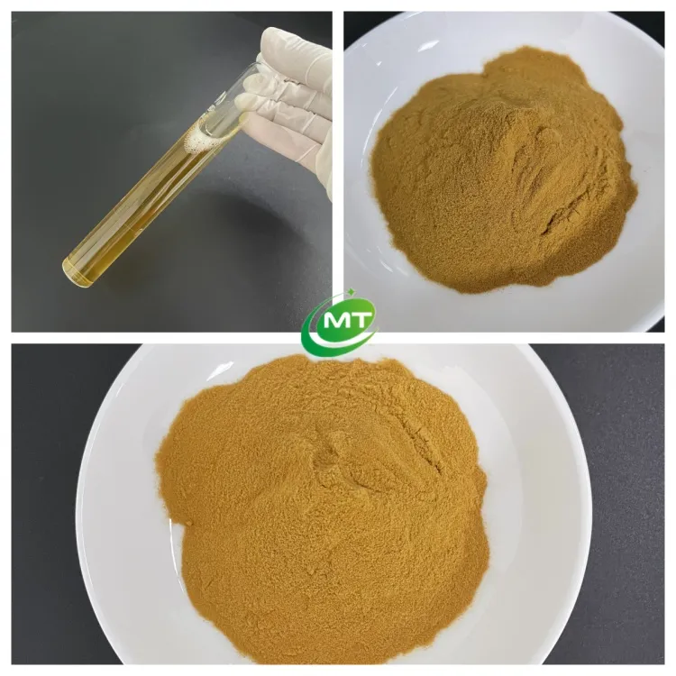 Green Tea Extract Powder 2