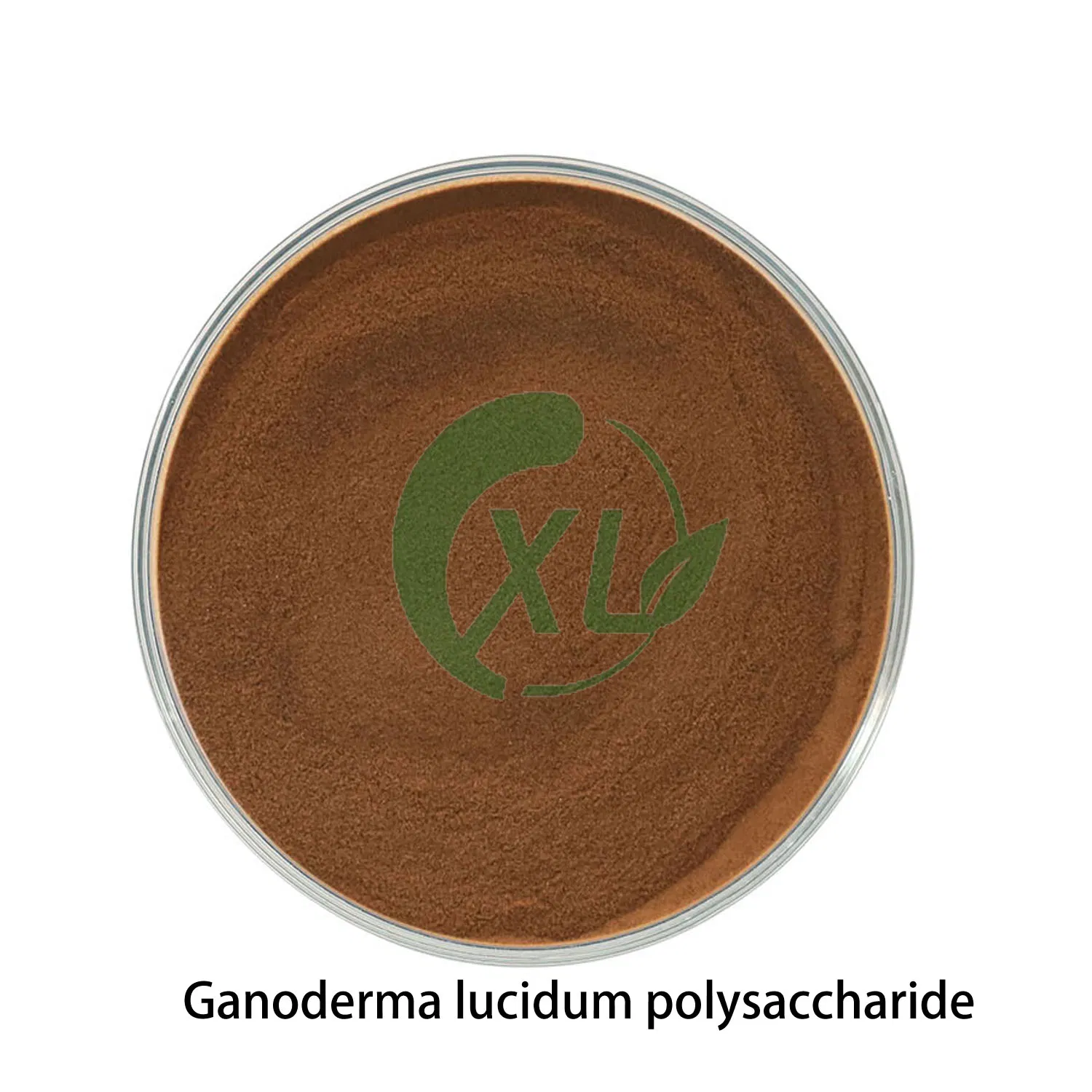 Reishi Extract Powder Lingzhi Mushroom Extract Ganoderma Lucidum Polysaccharide