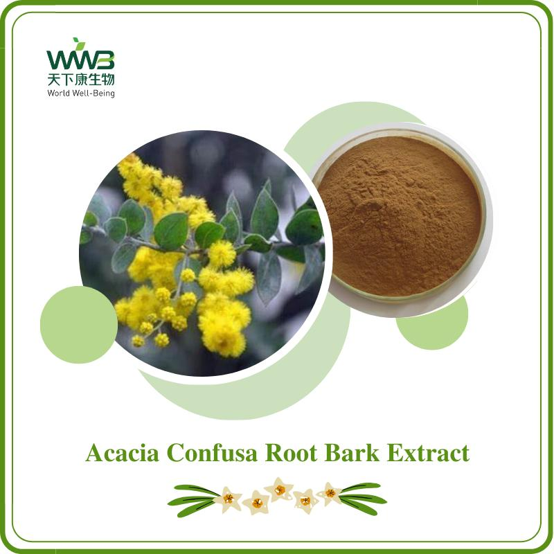World Well-Being Factory Direct Supplier Free Sample Herbal Extract 100% Natural 10: 1 Acacia Farnesiana Extract
