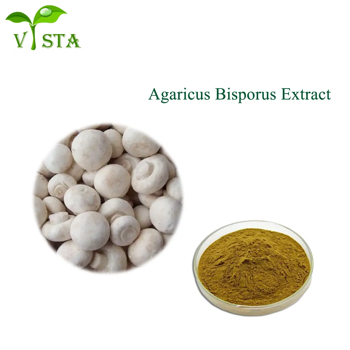 Factory Supply Organic Water Soluble 5: 1~20: 1 Agaricus Bisporus Mushroom Extract Powder