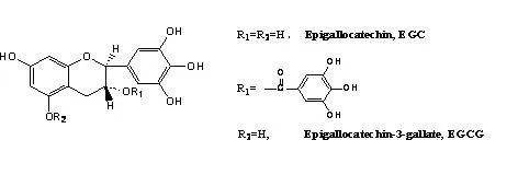 Molecular Structure 1