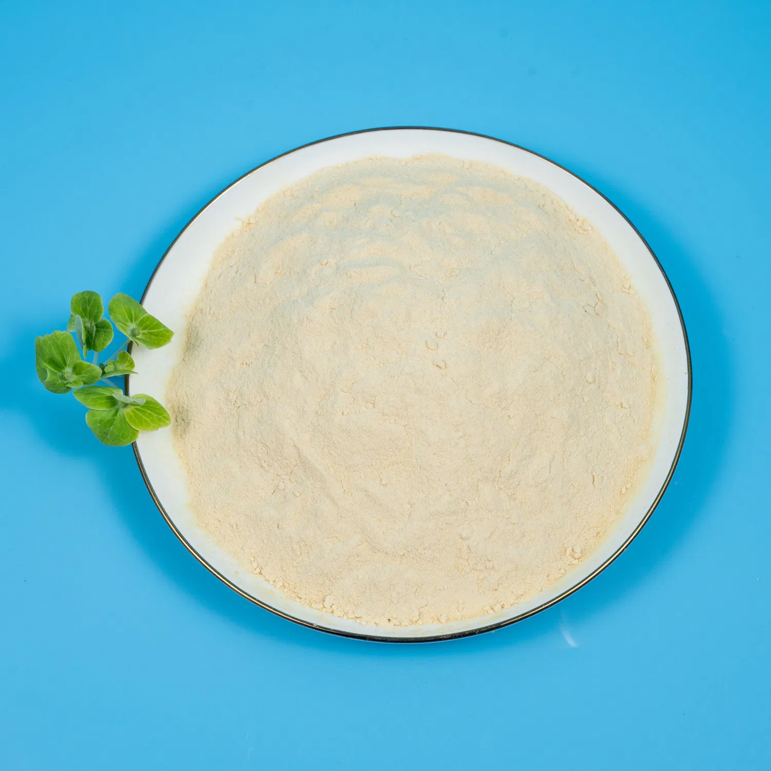 Lactobacillus Crispatus Frozen Raw Material for Capsule Women Health