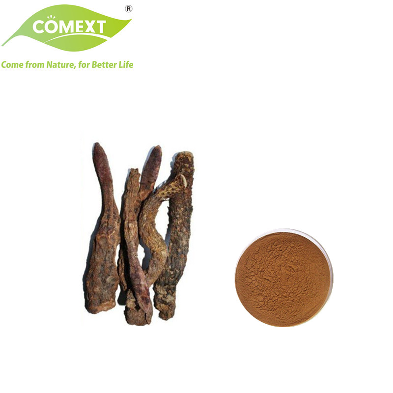Comext Traditional Chinese Medicine Herb Extract Health Food Increase Male Functional Cistanche Tubulosa