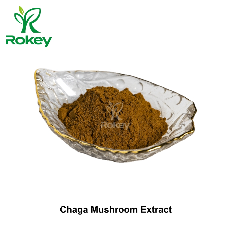 Potent Immune Support &amp; Antioxidant Superfood, Chaga Mushroom Extract Powder
