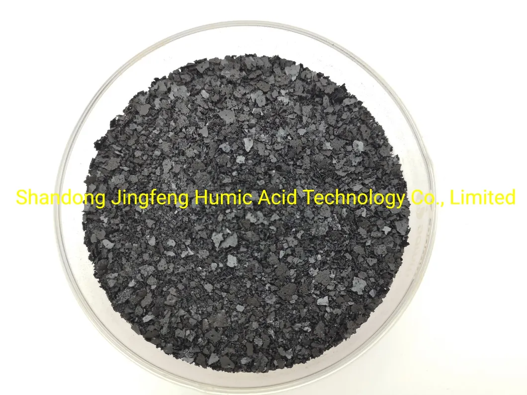 Seaweed Extract Powder