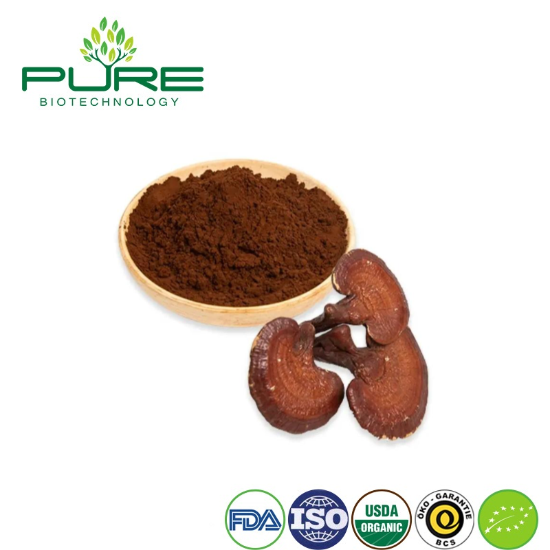 Natural Reishi Mushroom Extract Powder for Overall Wellness Boost