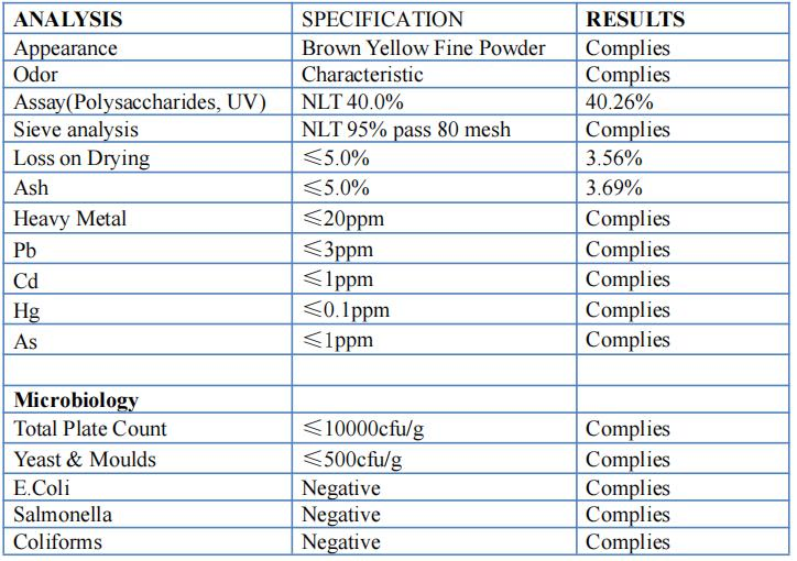 Shiitake Extract Powder with Polysaccharides Lentinus Edodes Polysaccharides Quality Natural Plant Organic 10: 1 20: 1 Shiitake Mushroom Extract Powder
