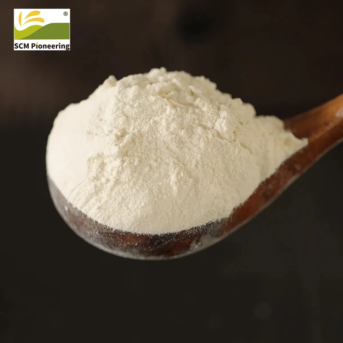 High Quality 100% Water Soluble Ginger Extract Powder Plant Extract Ginger Root Extract