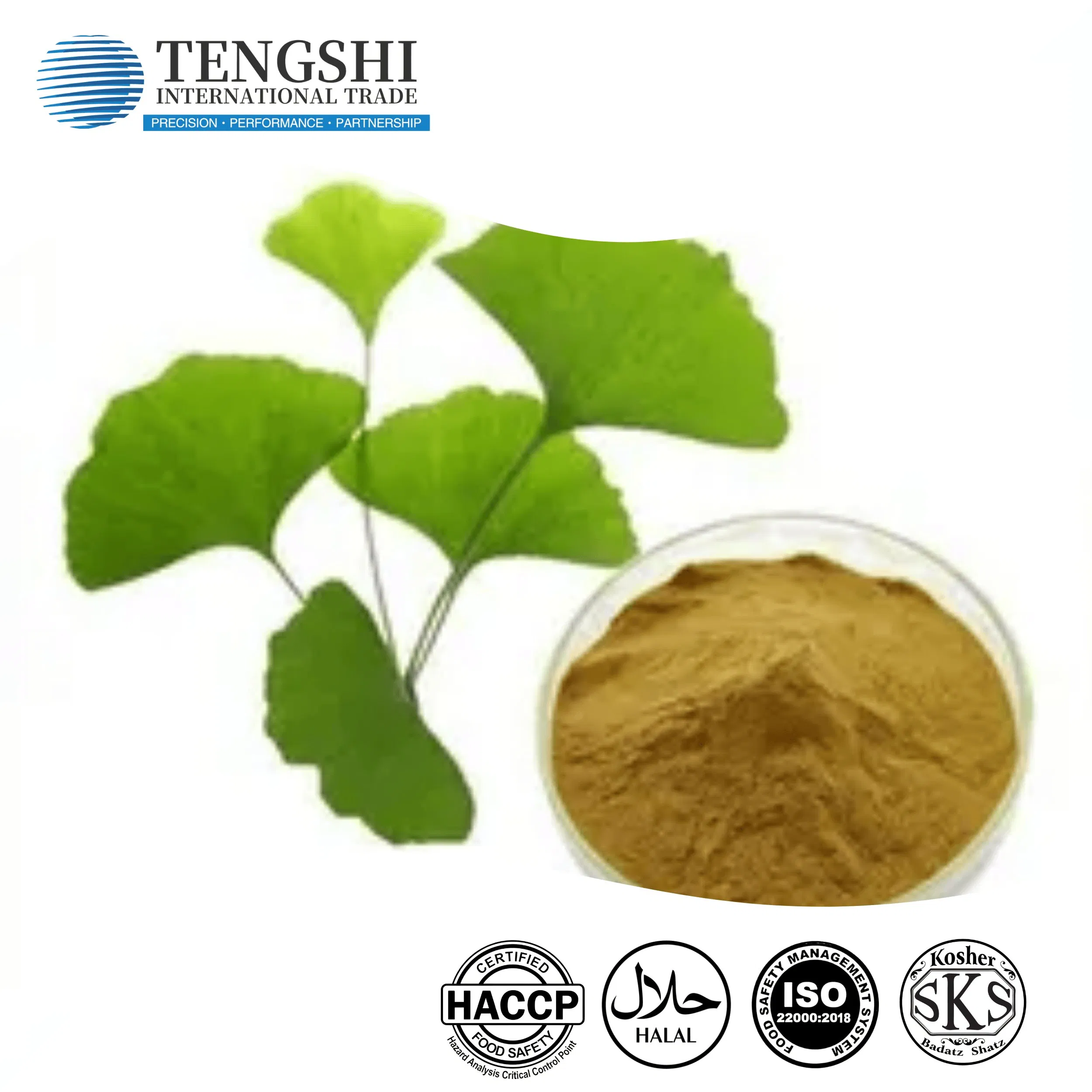 ISO Certified Ginkgo Biloba Extract Powder Health Supplement Raw Material
